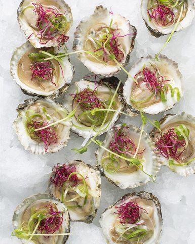 Vietnamese oysters los no text