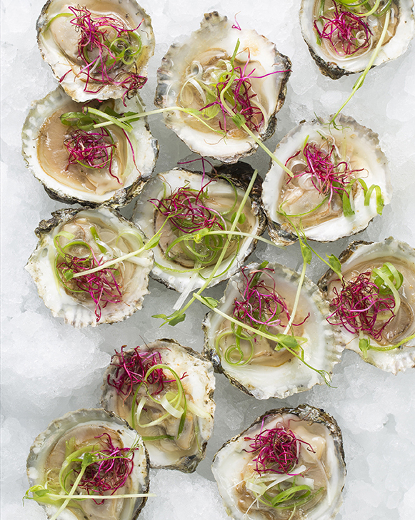 Vietnamese oysters los no text
